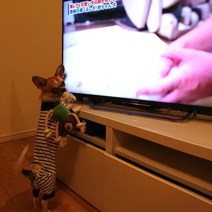 Dd2e11c0 d612 4a11 afd4 14d7d579664d 1535801381830