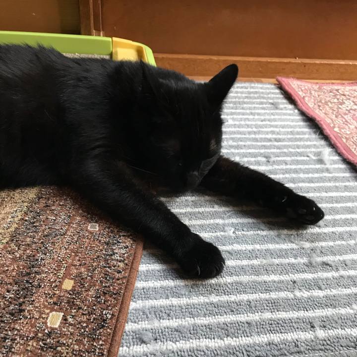 Dd2e2445 80b1 41ac a1ca 91d3df796501 1528767339540