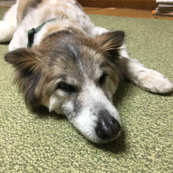 Dd2e2df8 e2e1 44f5 bea7 d90af13325c1 1524310725811