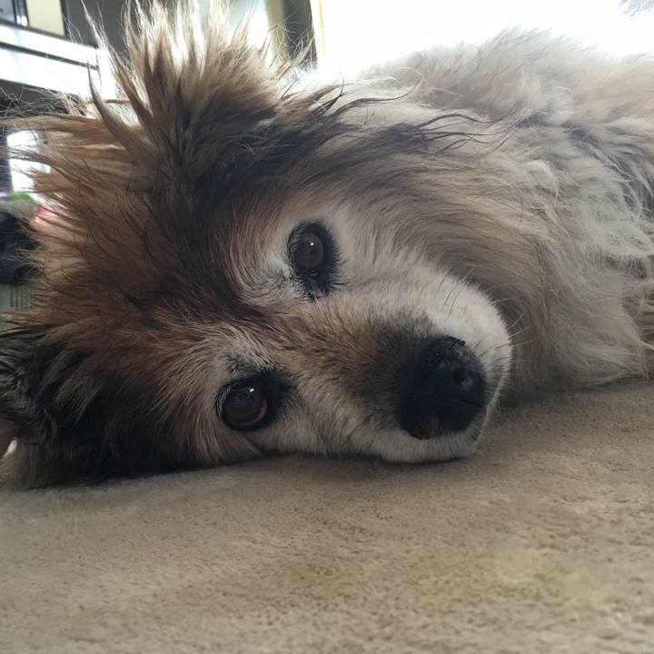 Dd2e4689 009e 462e 9c09 a4c3cf1eb1cd 1576805608691