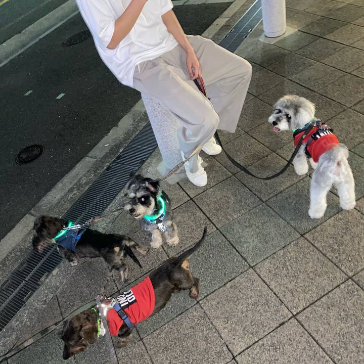 Dd2e4ab5 f5a4 4f13 b39e 70d9dafcf5a7 1623078080292