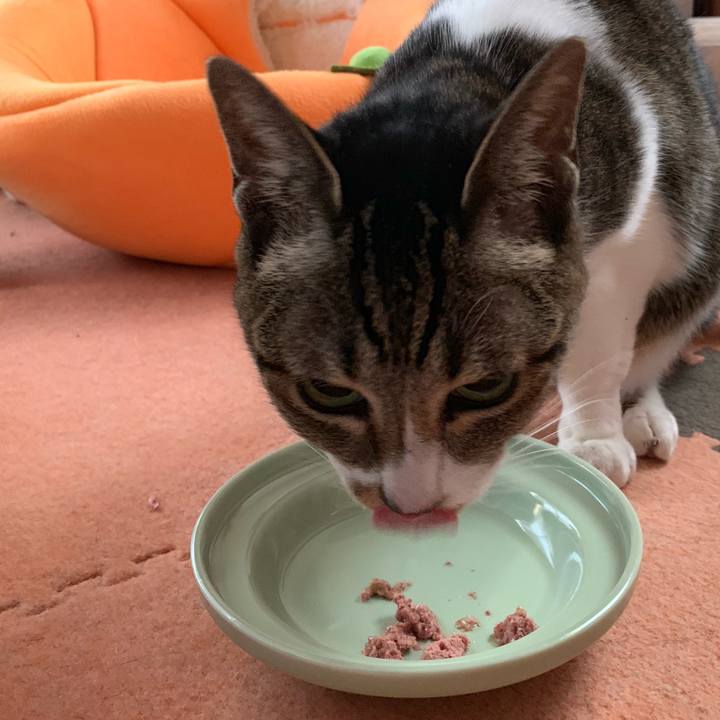 Dd2e724a 8c02 493a 8e42 95a1fd3ca238 1547600184683