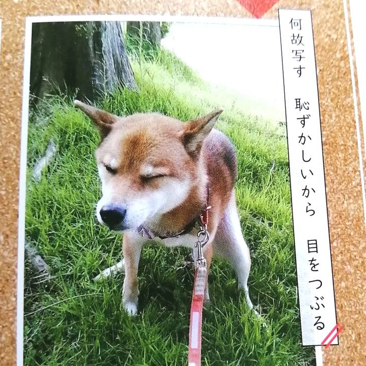 Dd2ea222 1e0b 4057 83b7 4ab08fef2269 1600655764719