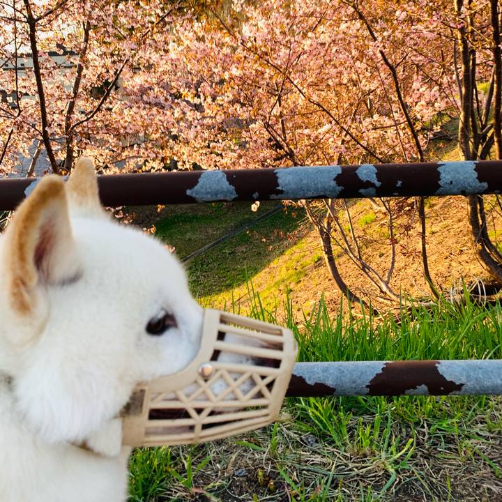 Dd2ecaa2 3a7a 4955 a26d e12c580388ff 1651094709245