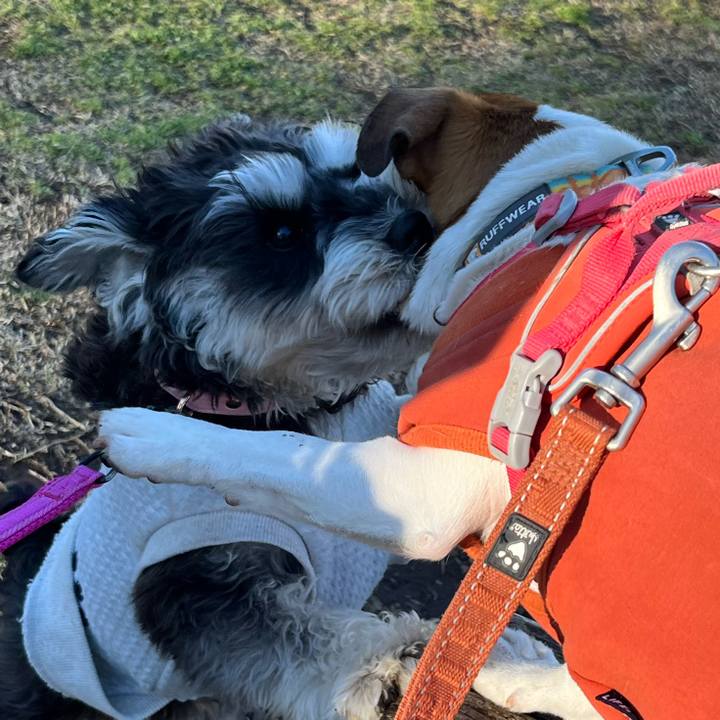 Dd2ed591 da59 4a15 aed6 5df28aa632b0 1711541393994