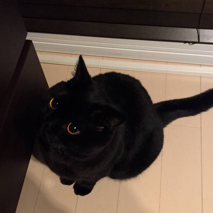 Dd2ef602 ec8c 4bab aa05 348e95ca9646 1537449345132