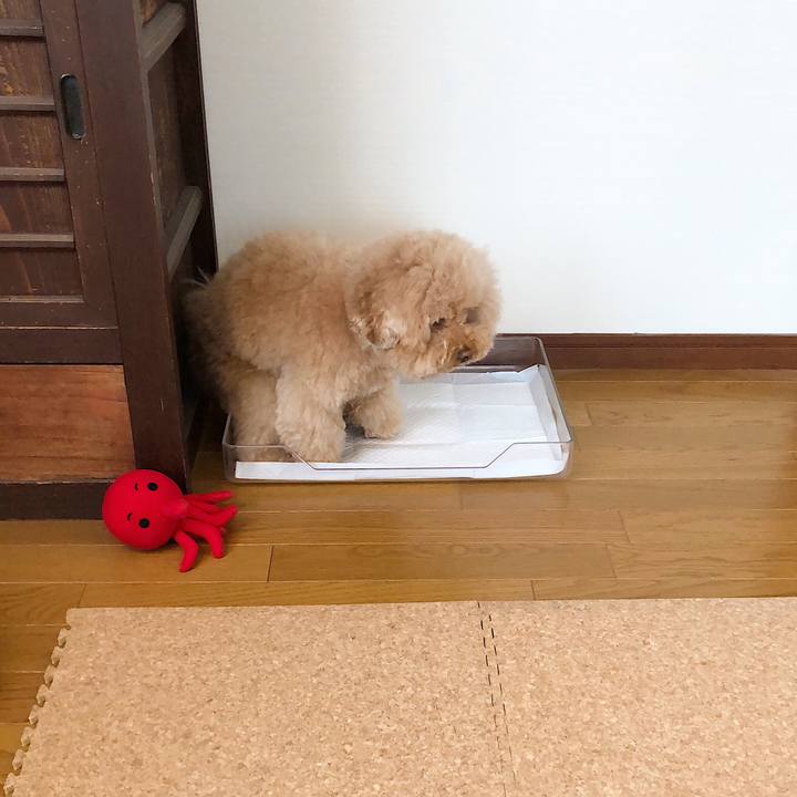 Dd2f3ab1 611d 4061 b247 3901cace82fd 1521796270261