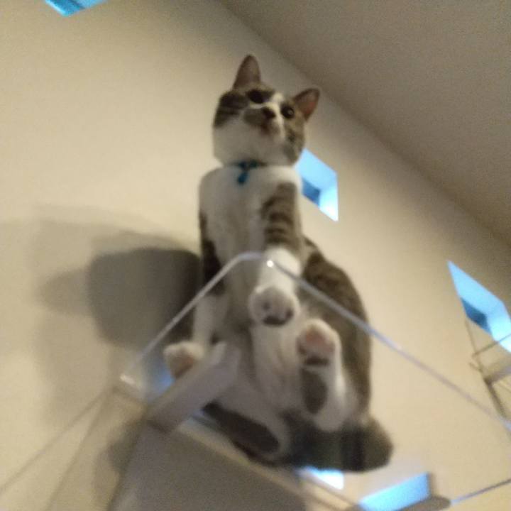 Dd2f6ec7 a7b1 430b bf6b e8f1c071525e 1631658640578