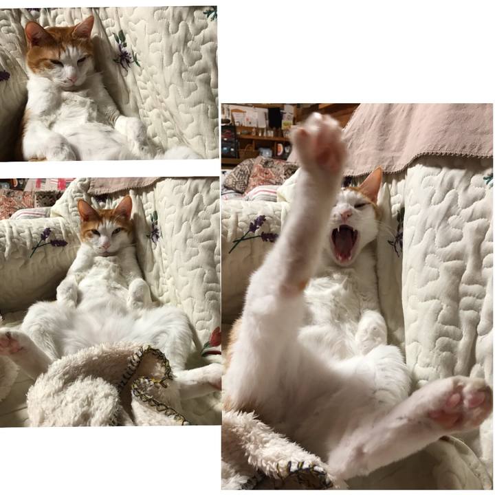 Dd2f7419 89e9 4f15 8939 af5558c2ac14 1612184960006