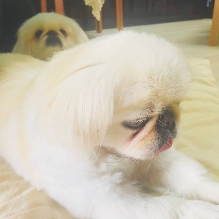 Dd2f7b13 b515 4d40 ae26 fb56c1a531ff 1594706826739