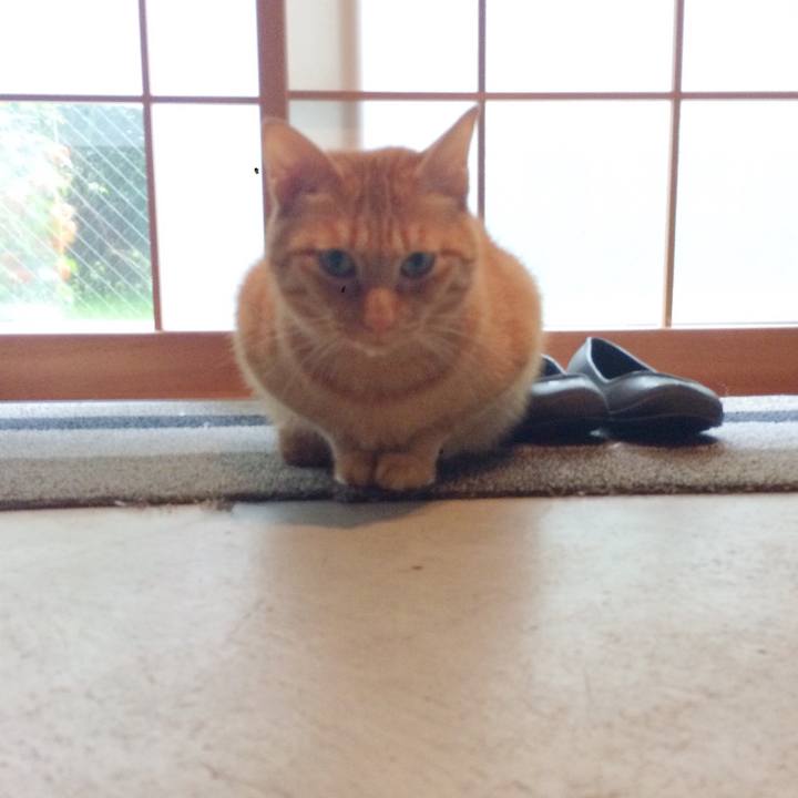 Dd2f8457 2e88 4f1f aa99 4060fa284f0e 1508851825652