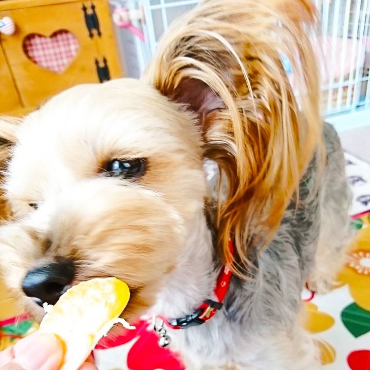 Dd3035ec 7b4a 472d bc9d 58cafbab43c5 1539334023373