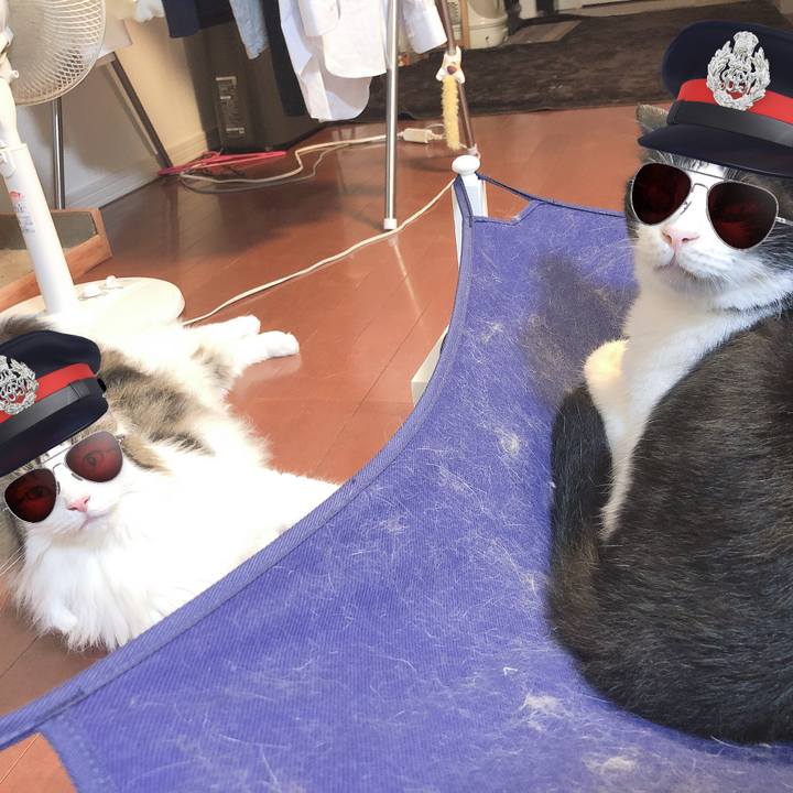 Dd304812 62f6 44e4 868c 367e141e2a06 1562165140660