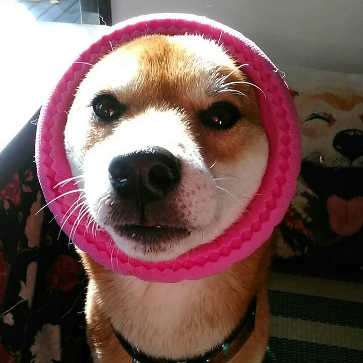 Dd3048a1 33e1 42fb aaca 46dd4637e9de 1575073592920