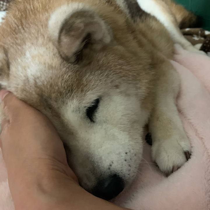 Dd304af0 59f1 47ee bb39 ae2b6c50171f 1695986580835