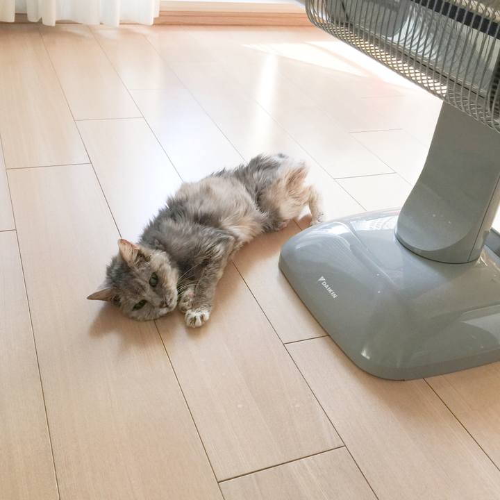 Dd308b75 d8b4 44cc ad3f ff5d522b8286 1581174652355