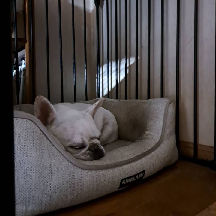 Dd308bab 37b8 405e 83af 2a07f148b3c4 1724479452648