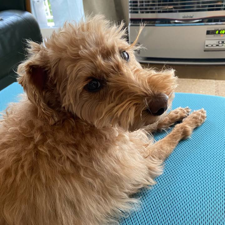 Dd309163 6b22 4aca a979 5acde6c8df76 1648161727711