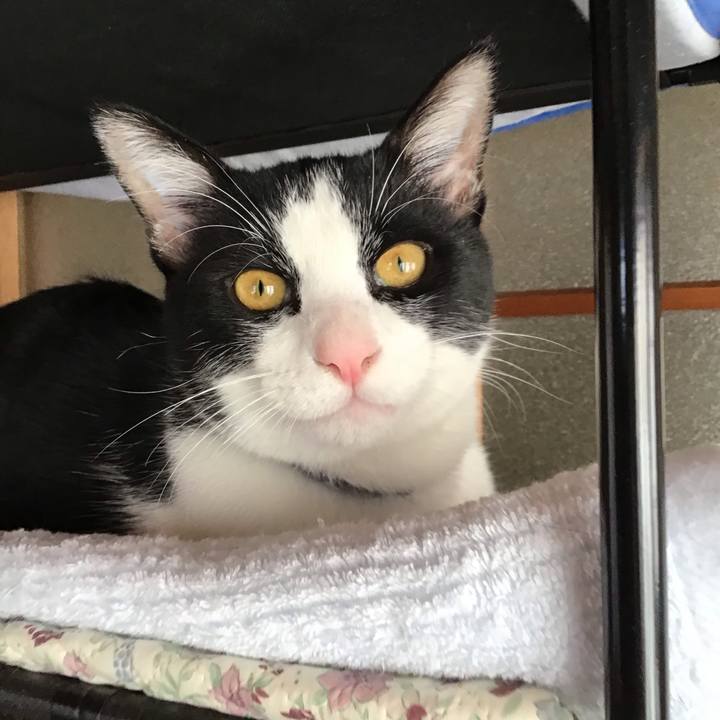 Dd30a88b cabc 4506 9e4e ca80a9895e29 1638080732619