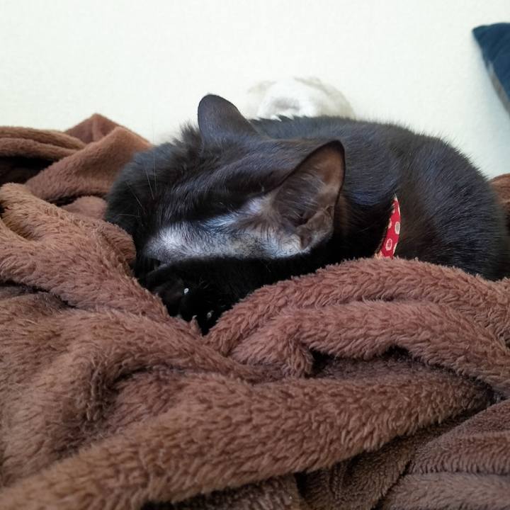 Dd30b22f 72cb 4733 a284 43d2496a9abc 1670366876156