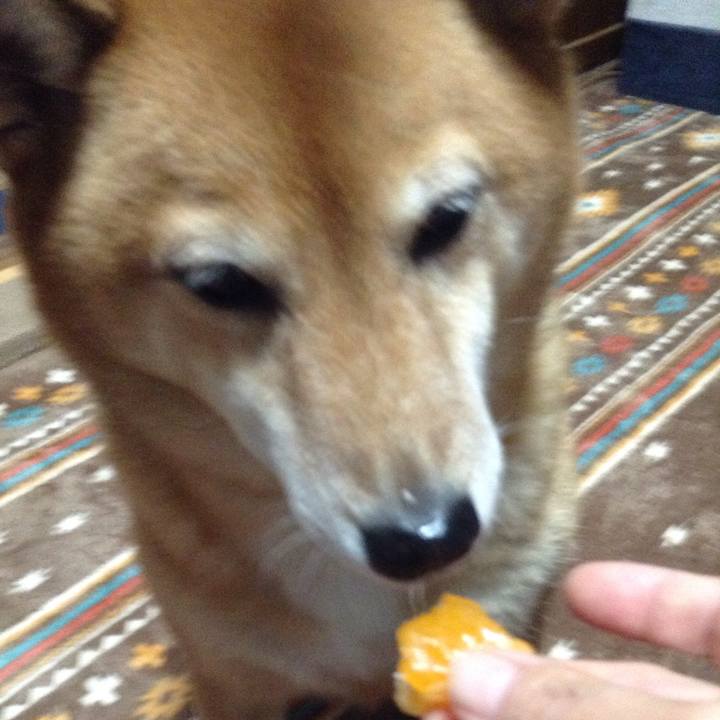 Dd30b74b e520 4bb3 a080 33df1e365ebe 1542890622640