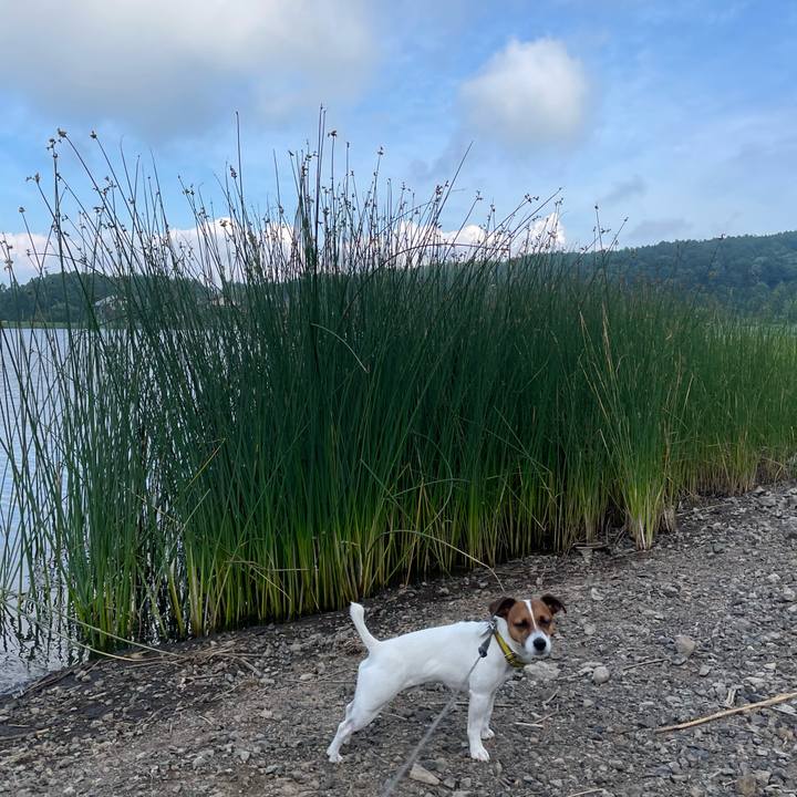 Dd30e719 3d73 4921 b791 00dc002b942b 1657275506001