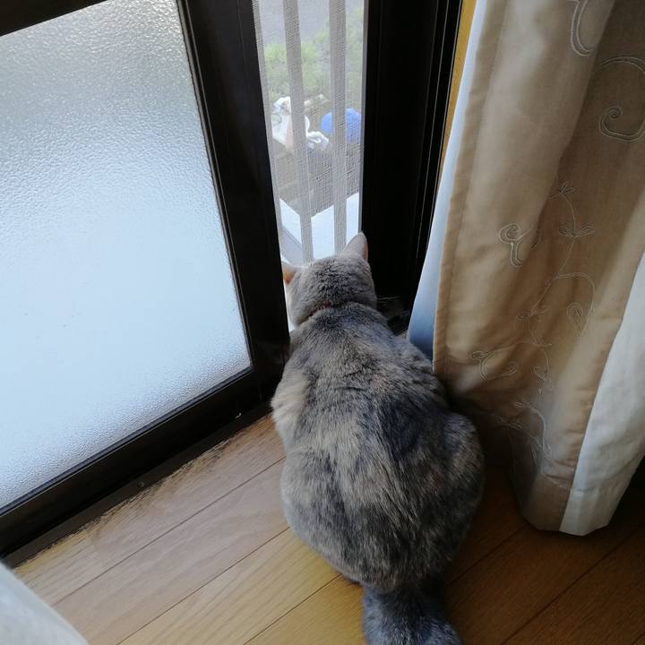 Dd30ea3b 071e 4313 8b5c 7cb2cedd909c 1534547704300