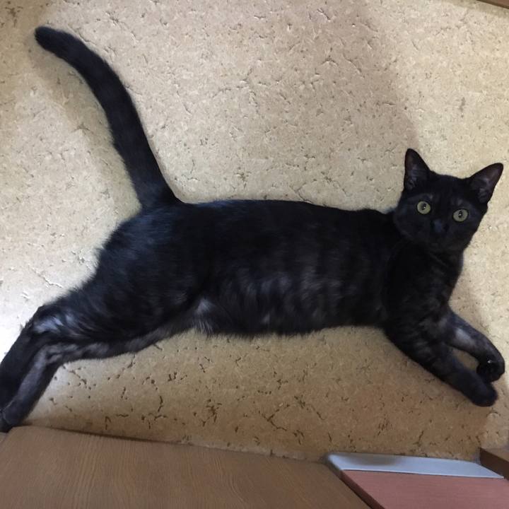 Dd310534 ba4e 4080 b1a0 f59a10edbe62 1552779436091