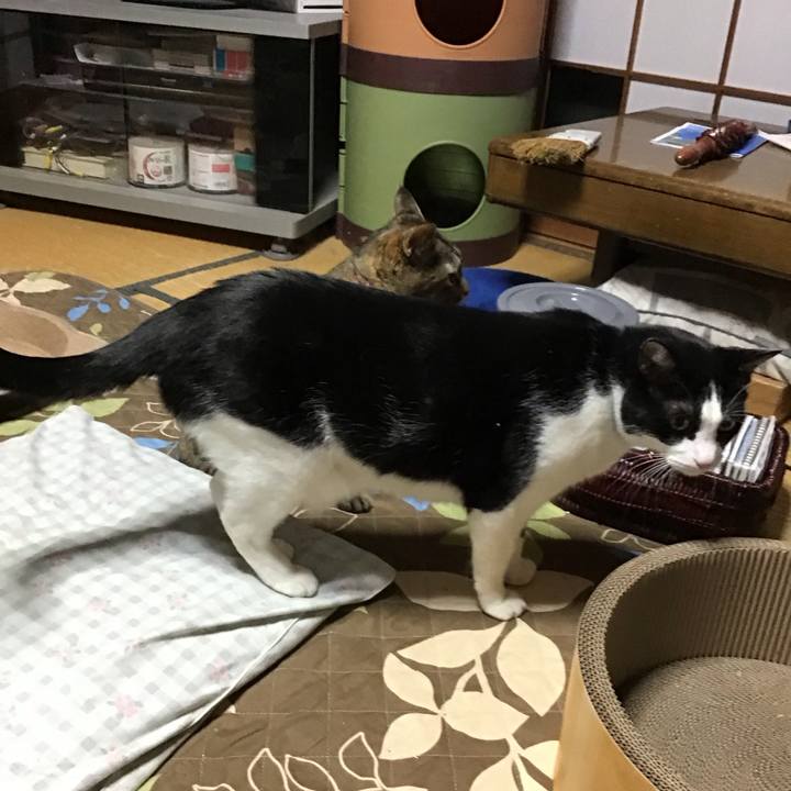 Dd310859 7acb 48d9 a7c1 66af4fd364ea 1733829892661