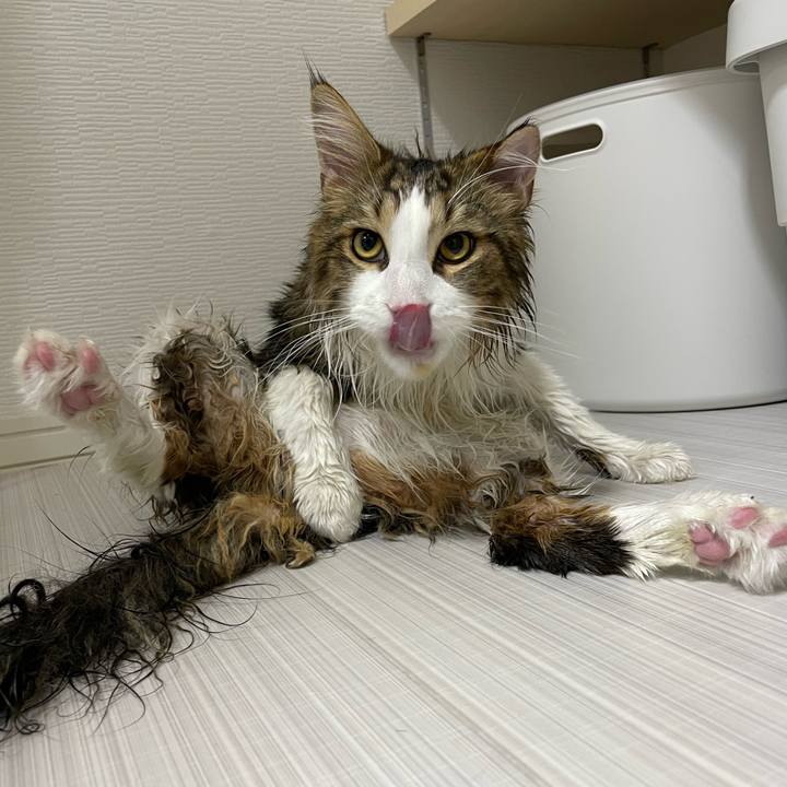 Dd311a48 252a 41dc b503 e48869cfd986 1650537149822