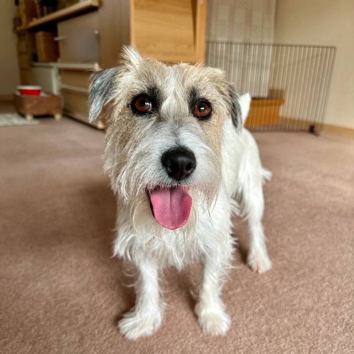 Dd3159b4 43d0 46bc af4f 25dcb9969b60 1700773997845