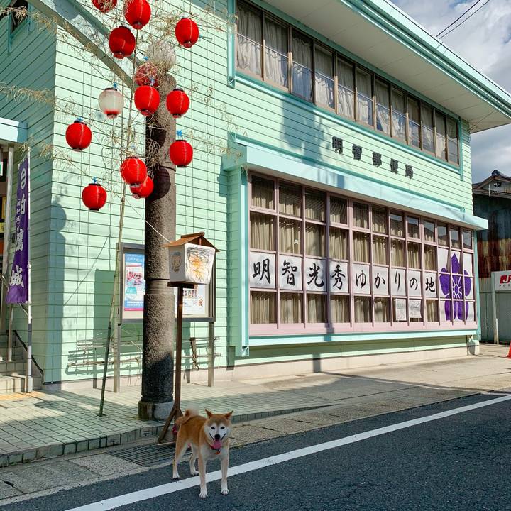 Dd316e0b e313 43bc bd54 cb16f0a6595a 1626512254657