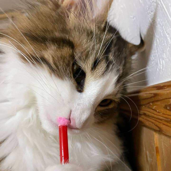 Dd31e50c e593 49a2 abaf df9f53249b49 1637926537517