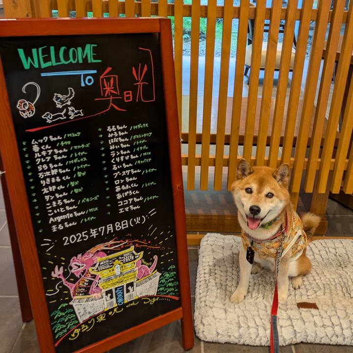 Dd31ed3b b427 4477 a5d0 22e1e4db7a47 1752064177774