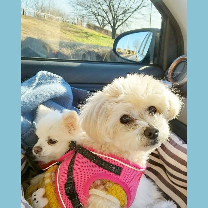 Dd320c7c 49b1 4073 9c6a 298249dc1be9 1641186811363