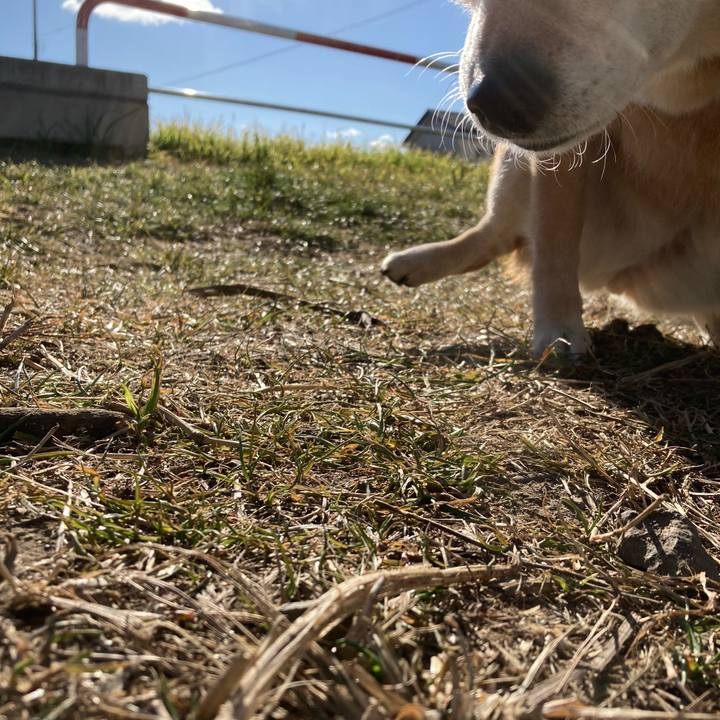 Dd321d41 3382 4121 984c b814a3f77672 1673333800707