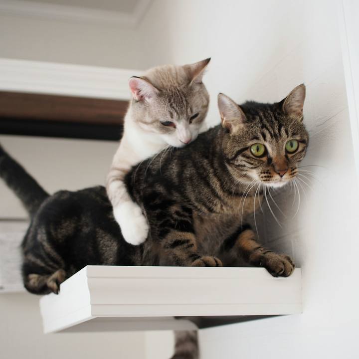 Dd328a49 9ffa 46d4 88ac c31caa267f5c 1539319432590