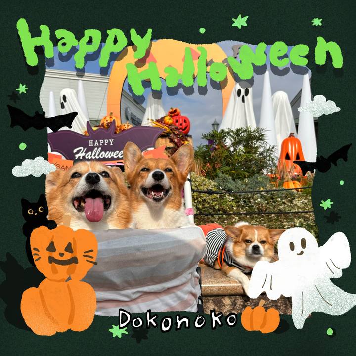 Dd32ab3b 482f 4fbe 805f 0088dce45d07 1729838761693