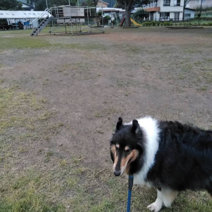 Dd32be8f 005f 4c1e ad60 ea0e0e8b590b 1531830407417