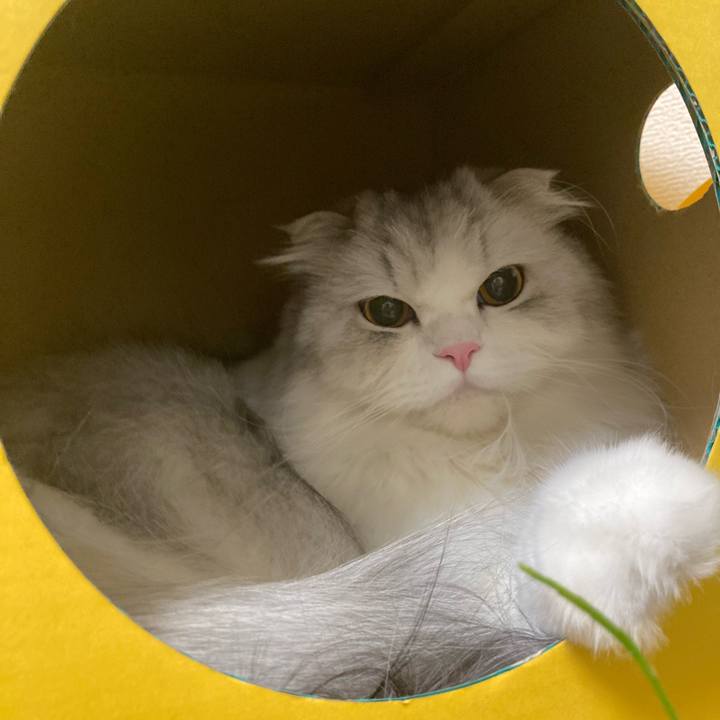 Dd32d4d2 3aef 46c9 b554 46a2d00dad76 1704159169475