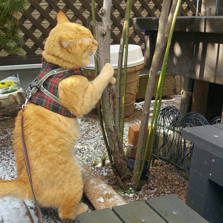 Dd32de0e 8817 4f95 aa12 35de3977386f 1581232971872