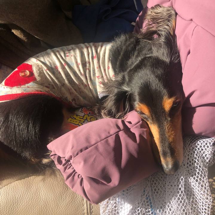 Dd331690 8bae 4b43 843e 690d70e73861 1612589864783