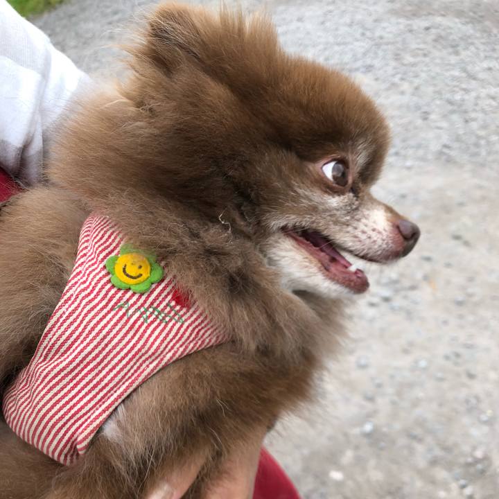 Dd337203 07ba 48e3 a7d3 14c5a78e669d 1562482557798