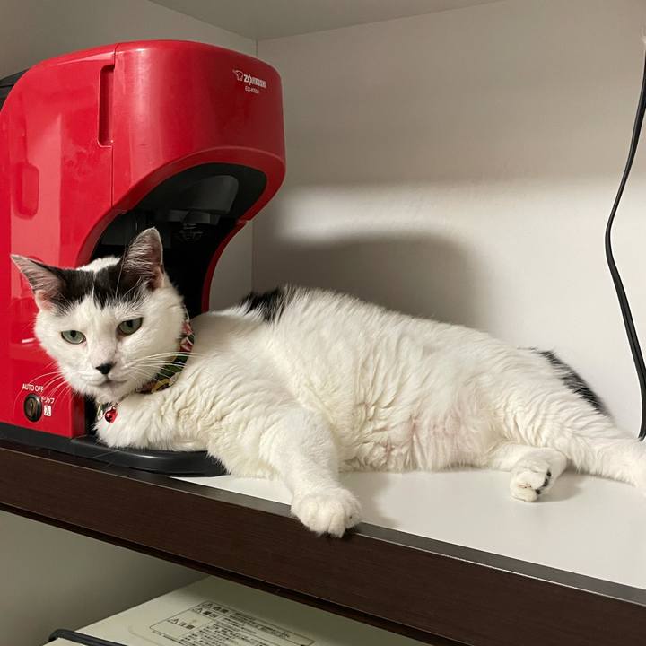 Dd33d4e7 9201 4ceb bcbe 26a10e6f31e2 1628677095049