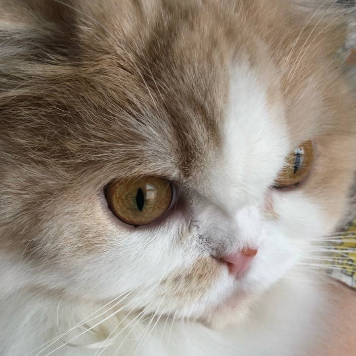 Dd33ebe3 cf40 42b9 9d61 8831eec17512 1622849134373