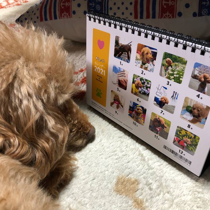 Dd33ef2b 2031 4d8a be22 d2de69d26d5c 1607922025898