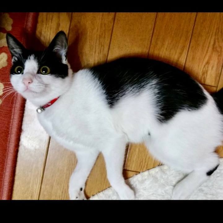 Dd340e14 8ce4 4fd0 9525 ae73c92b668e 1654729158509