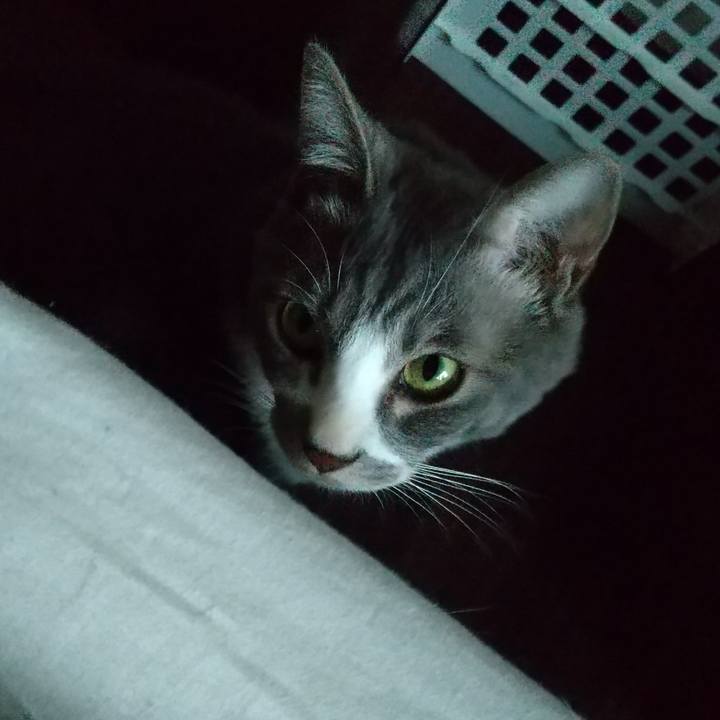 Dd342a1f cc55 4737 9c52 4bb0eabedaf2 1617313838507