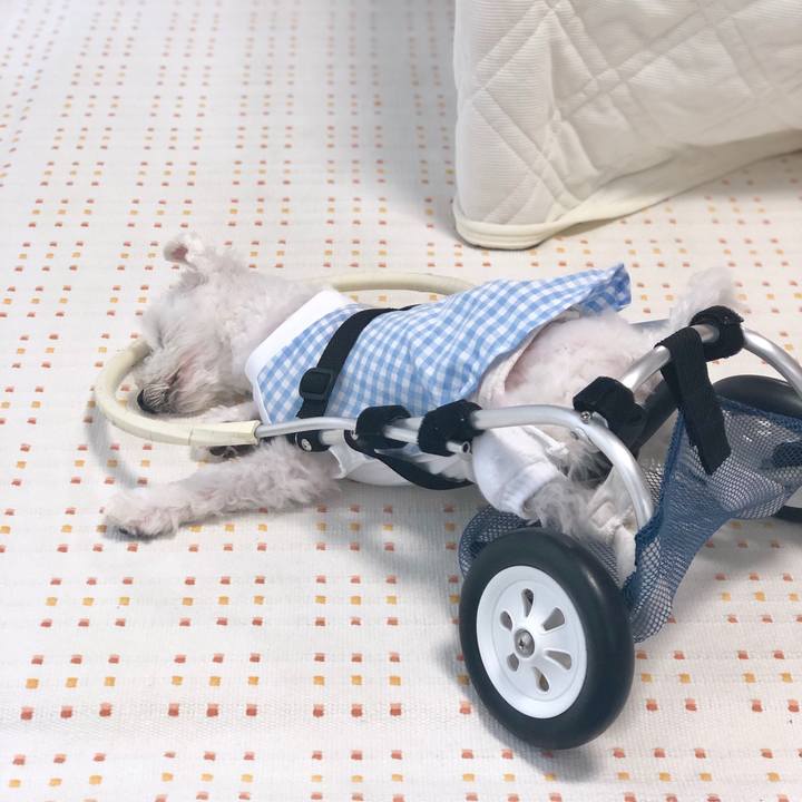 Dd345e7b ec2d 4e64 8ef5 27f2fe004b8a 1559872795250