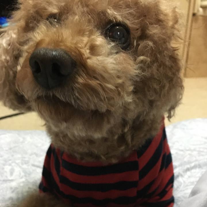 Dd347830 89f5 48b0 8ba5 f520a8da8ad9 1552141670170